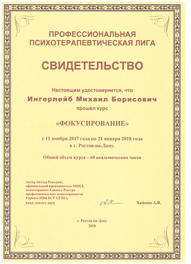 Ингерлейб Михаил Борисович фокусирование